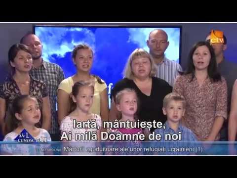 451. Marturii zguduitoare ale unor refugiati ucrainieni (1)