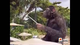 Download lagu orang miskin banyak gaya!!! mp3