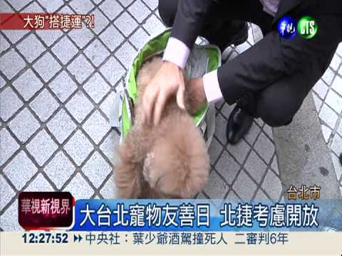 中大型犬搭捷運 北捷考慮開放?!