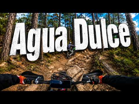 Volvimos a la Piedra! Rio de los Sauces - Agua Dulce 🛘🪵