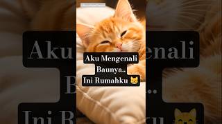 Download lagu Bag32.Kucing Bahagia, Ketakutan pun Sirna #cat #kucing #kucingoyen mp3