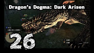 #26【Dragon's Dogma: Dark Arisen】竜狩り【左腕のボスぬこ】