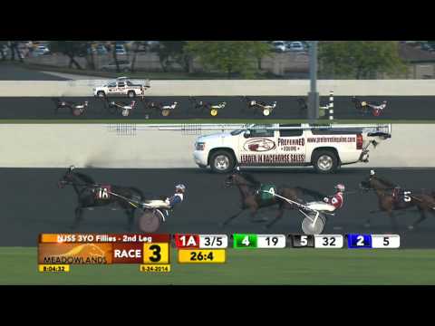 New Jersey Sire Stakes - Sayitall Bb - May 24, 2014