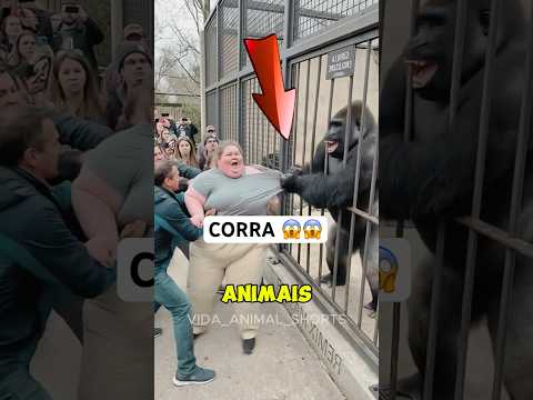 CORRA se esses animais fizerem ISSO 😱🦁 #animais #bichos #curiosidades