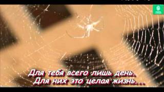 Видео из картинок