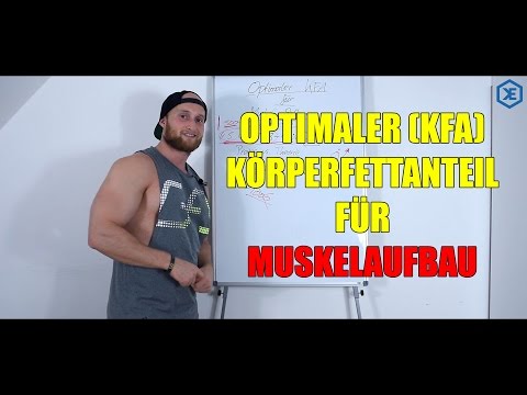 OPTIMALER KFA FÜR MUSKELAUFBAU - Theorie // Karl-Ess.com