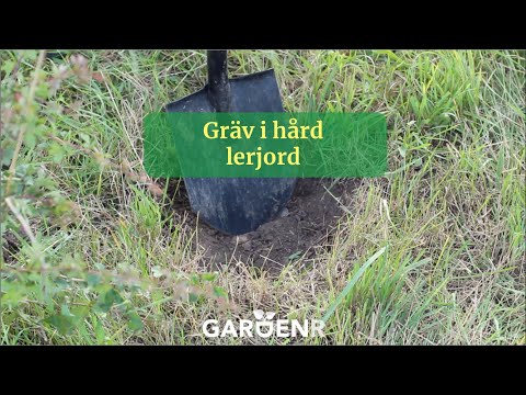 Gräv i hård lerjord - Trädgårdshacks med GardenR