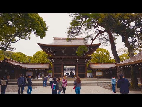 The Japan Trip: Episode 3