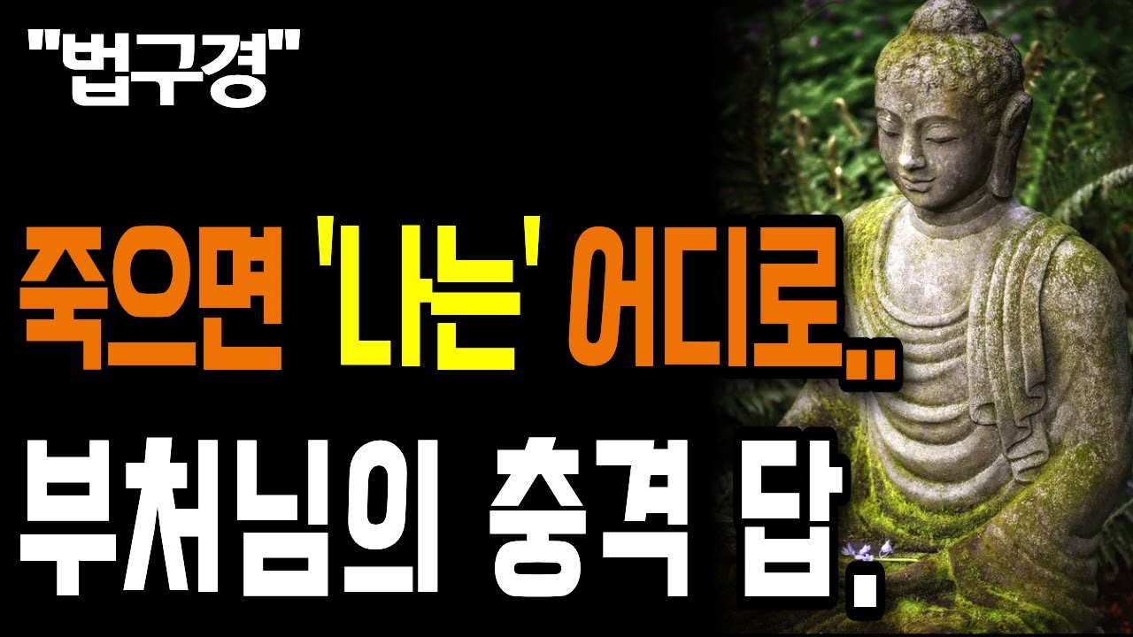 죽어도 이건 사라지지 않습니다 | 사리불의 질문에 대한 부처님의 충격 답변 | 법구경 | 불교명언 | 평온한 삶