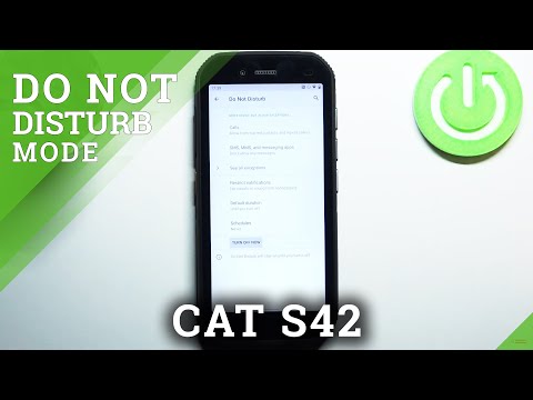 How to Enable Do Not Disturb Mode in CAT S42 – Block Sounds & Vibrations
