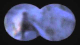 Belasco - Chloroform