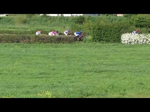 Trka "Miodrag Petrović Kum" 08.05.2021 Al Capone - Aleksandar Šašić