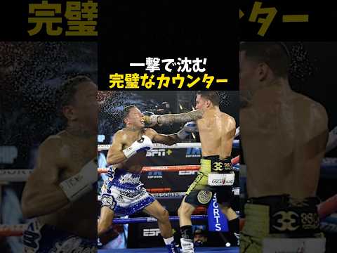 一撃で沈む完璧なカウンター #ボクシング #格闘技 #boxing