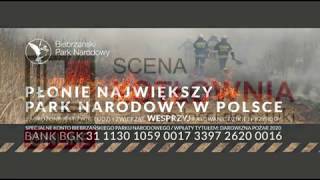 Scena Kotłownia online. Codzienna dawka poezji w sieci