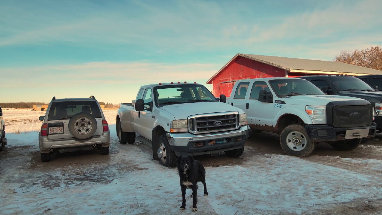 Cooling system pressure test | Ford F350 | 2020