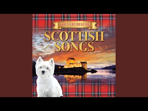 My Love Is Like a Red, Red Rose