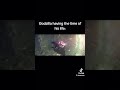 Godzilla does not give a sh$t about it being zero gravity