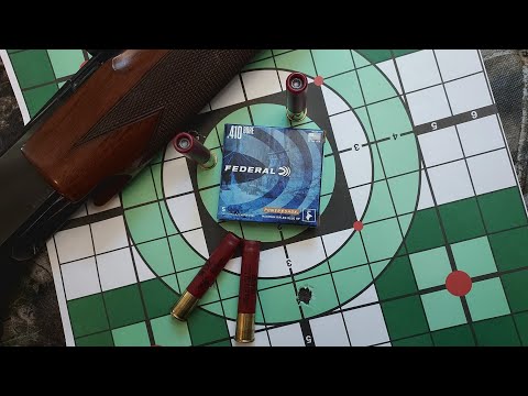 ​Rossi Brawler vs. Shotgun: Federal .410 #4 Buck Tested!