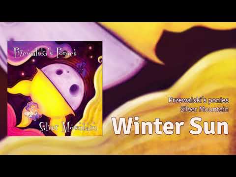 Przewalski's Ponies - Winter Sun