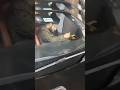 Mufti Salman Azhari Entry In Chhota Sonapur Mumbai Sunni Belal Masjid