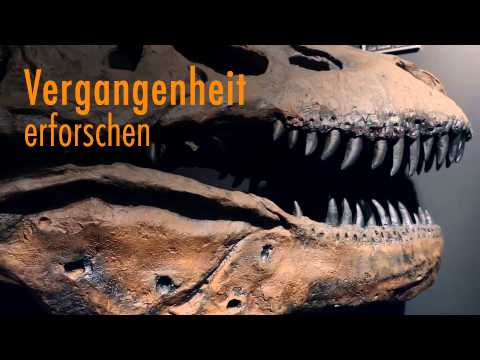 Welt der Kristalle Museum & Shop YouTube-Vdeominiatur 20