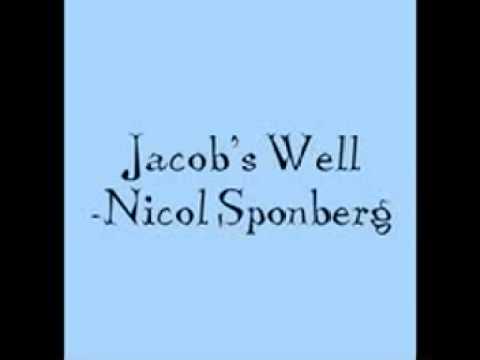 Jacob's Well by Nicol Sponberg