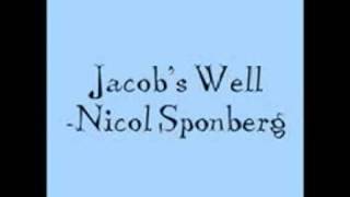 Jacob&#39;s Well by Nicol Sponberg