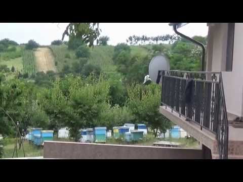 O gospodarie dintr-un sat vasluian, Zapodeni; omul sfinteste locul...