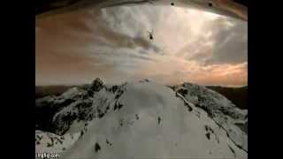 JELLYFISH  - RUSSIAN HILL