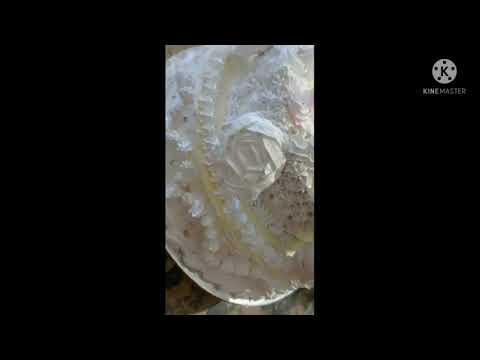 | Eid special  | Eid Mubarak | #timepass #cake #creamcake #fav #naseem's World