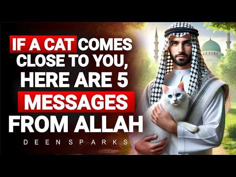If a Cat Approaches You, Here Are 5 Signs from Allah!