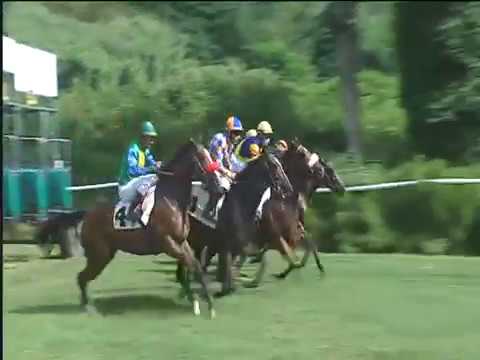 Galoppo 15/06/2018 - 1ª corsa