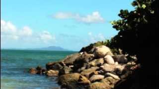 DJ Cam-Swim( Fly Remix )