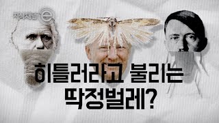 Download lagu 지식채널e - 이름에 남겨진 기억들 mp3