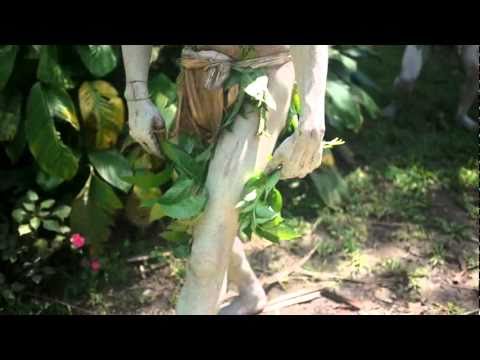Culture of the PNG Highlands