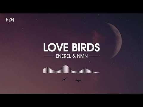 Enerel & NMN - LOVE BIRDS (Lyrics video)