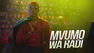 ALIKIBA - Mvumo Wa Radi (Official Video)