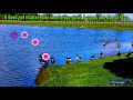 Good Morning Video