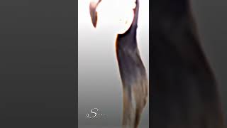 Download lagu Bangladeshi Tik tok cute girl anisa ibnatkhan ||status video mp3 Download lagu Bangladeshi Tik tok cute girl anisa ibnatkhan ||status video mp3