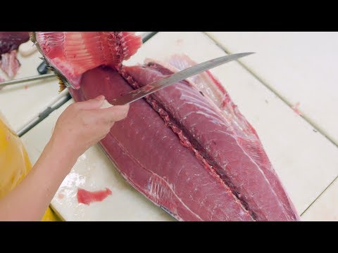 download lagu mp3 mp4 Ahi Tuna Wholesale, download lagu Ahi Tuna Wholesale gratis, unduh video klip Ahi Tuna Wholesale