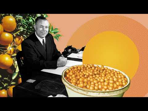 Working at Tropicana - HR picture 