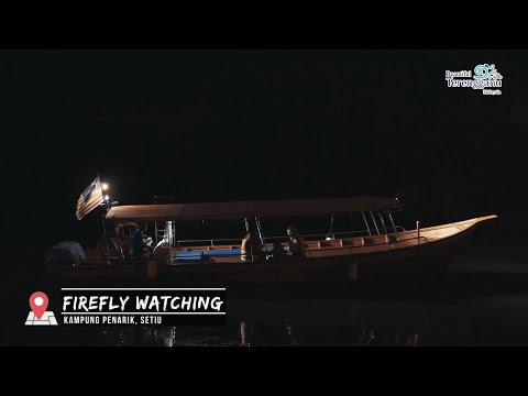 Kuala Terengganu, Firefly dan Penarik Fishing Village