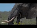 Dji Mavic 3 Cine Nikon Z9 Enduring Hope Daniel Deuschle