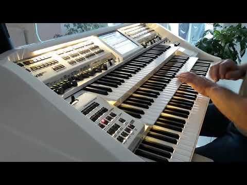 Monja - Flippers - Cover auf der Wersi Louvre GS1000