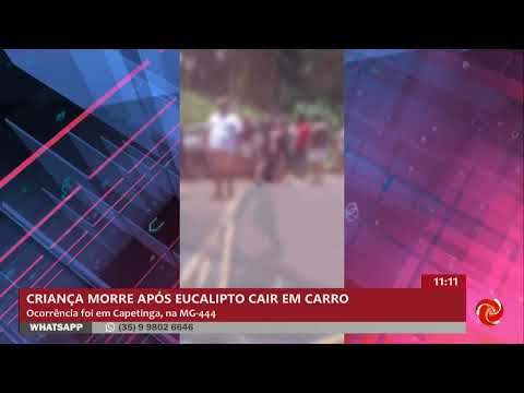Criança de 1 anos morre após eucalipto cair sobre um carro em Capetinga