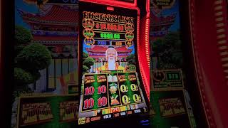 FREE GAMES FEATURE on Phoenix Link brings big win! #shorts #phoenixlink #gambling