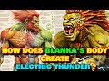 Blanka Anatomy Explored How Does Blanka S Body Create Electric Thunders Why Is His Skin Green