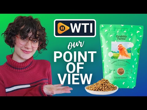 Grubblies Chicken Treats - WTI product video review