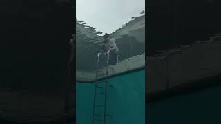 🇯🇵 "The Swimming Pool" by Leandro Erlich, 金沢21世紀美術館 Kanazawa #japan #museum