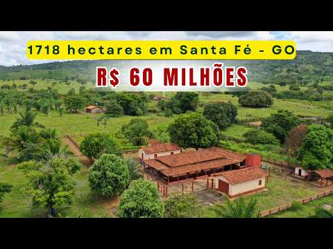 FAZENDA DE 1.718 HA EM SANTA FÉ DE GOIÁS | PECUÁRIA, AGRICULTURA E EXCELENTE LOGÍSTICA